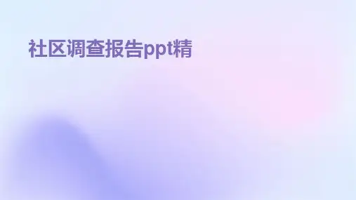 社区调查报告PPT(精)