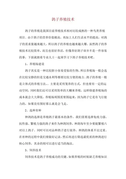 鸽子养殖技术