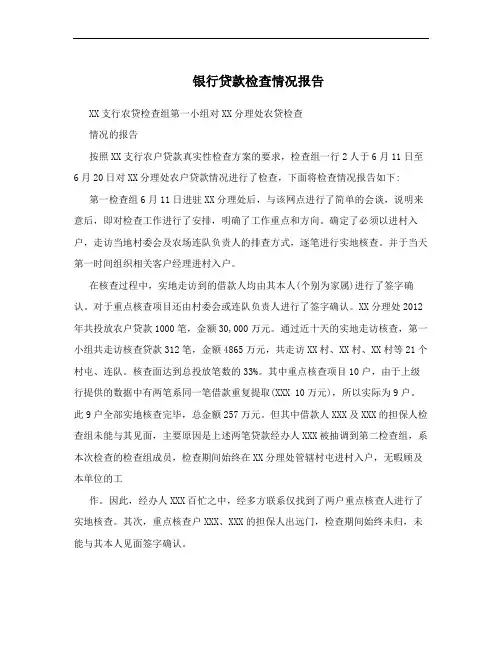 银行贷款检查情况报告