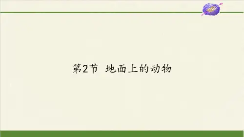 苏科版初中生物七年级下册课件-5.11.2 地面上的动物11