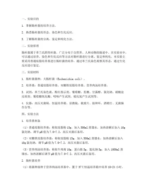 肠杆菌的培养实验报告