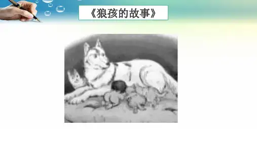 部编人教版八年级上册道德与法治第一课丰富的社会生活 1.1我与社会教学课件共26张PPT