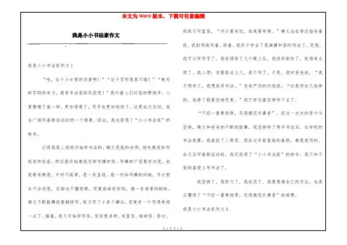 我是小小书法家作文