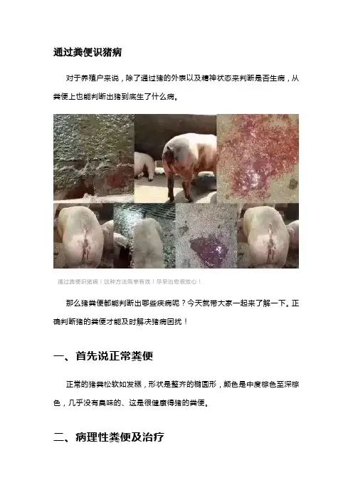 通过粪便识猪病