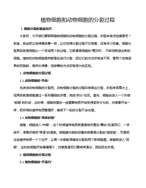 植物细胞和动物细胞的分裂过程