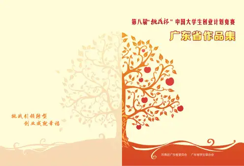 挑战杯作品集4