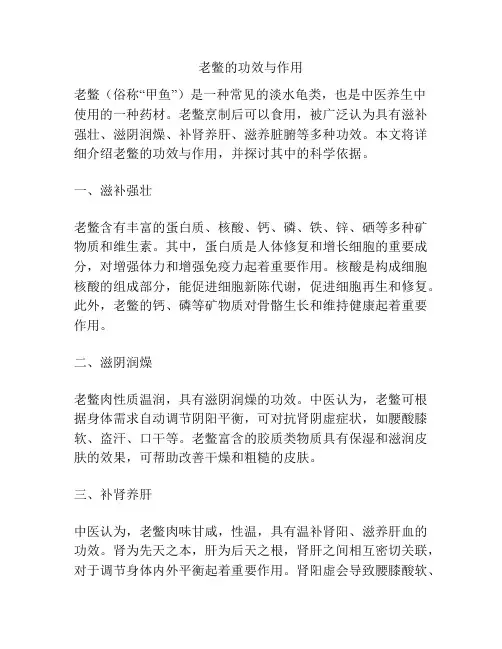 老鳖的功效与作用