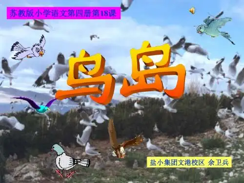 鸟岛