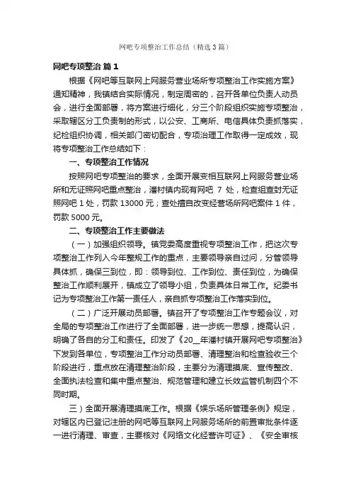 网吧专项整治工作总结（精选3篇）