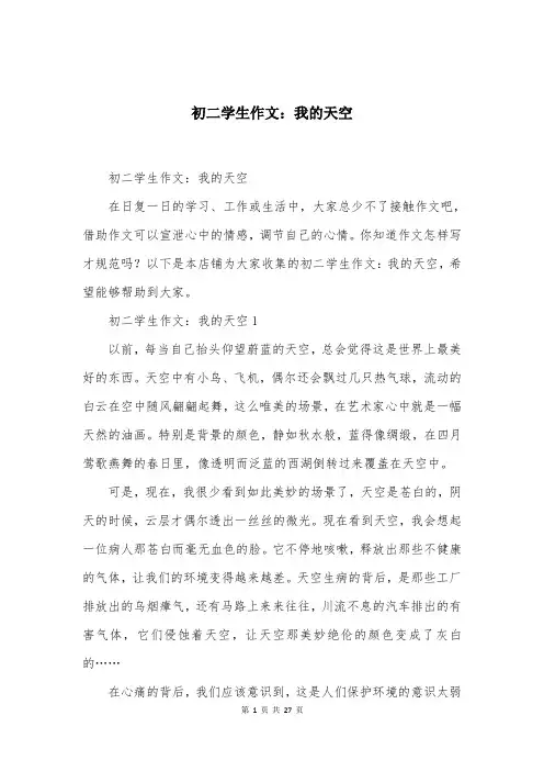 初二学生作文：我的天空