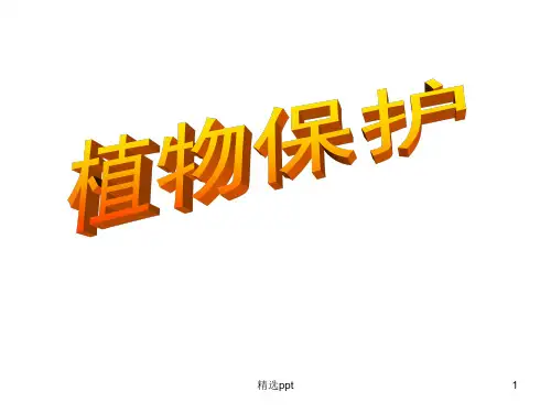 昆虫基础知识