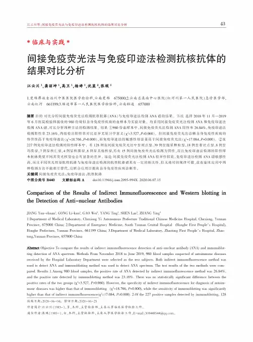 间接免疫荧光法与免疫印迹法检测抗核抗体的结果对比分析