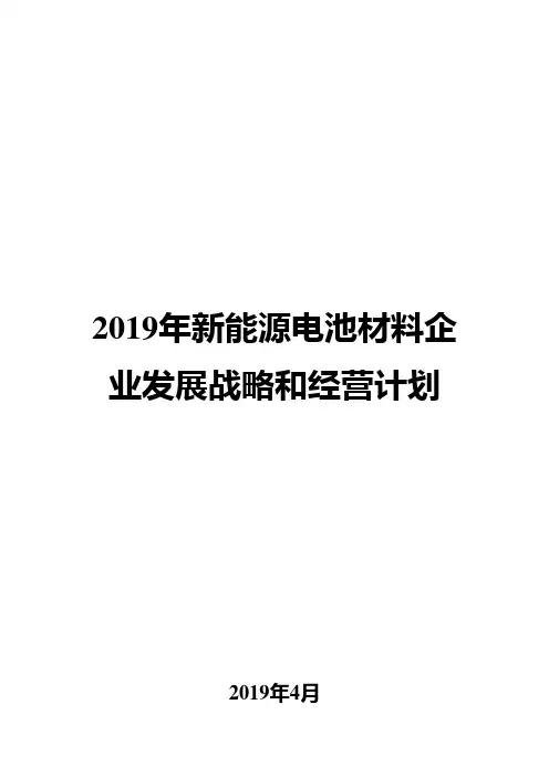 2019年新能源电池材料企业发展战略和经营计划