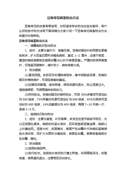 豆角常见病害防治方法