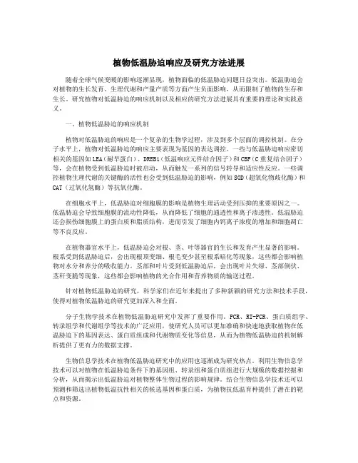 植物低温胁迫响应及研究方法进展