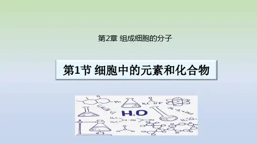 细胞中的元素和化合物课件-高一上学期生物人教版(2019)必修1