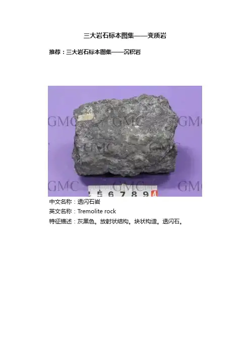 三大岩石标本图集——变质岩