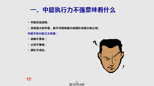 中层高层执行力PPT课件