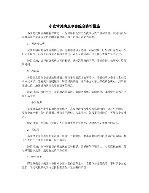 小麦常见病虫草害综合防治措施