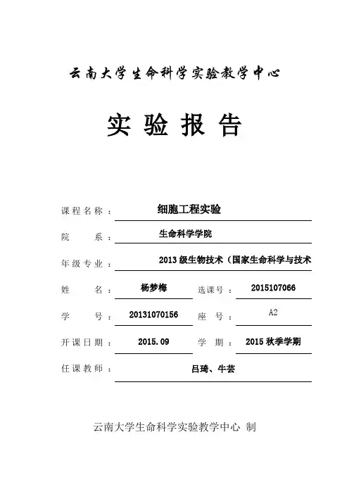 胡萝卜组织培养系统实验