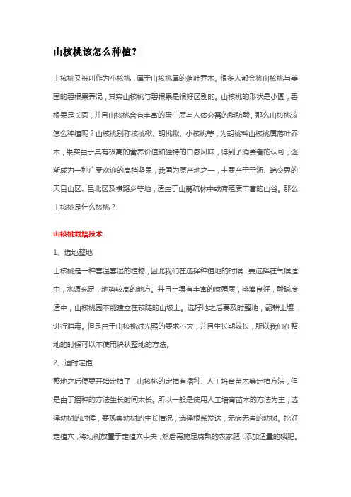 山核桃该怎么种植