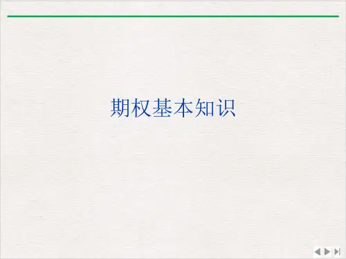 期权基本知识ppt优质版