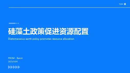 2023年2022年硅藻土行业标准：硅藻土政策促进资源配置报告模板
