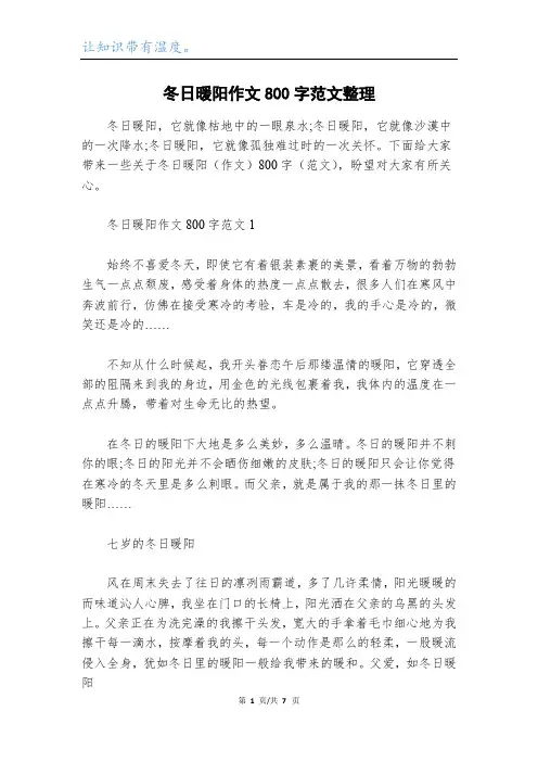 冬日暖阳作文800字范文整理