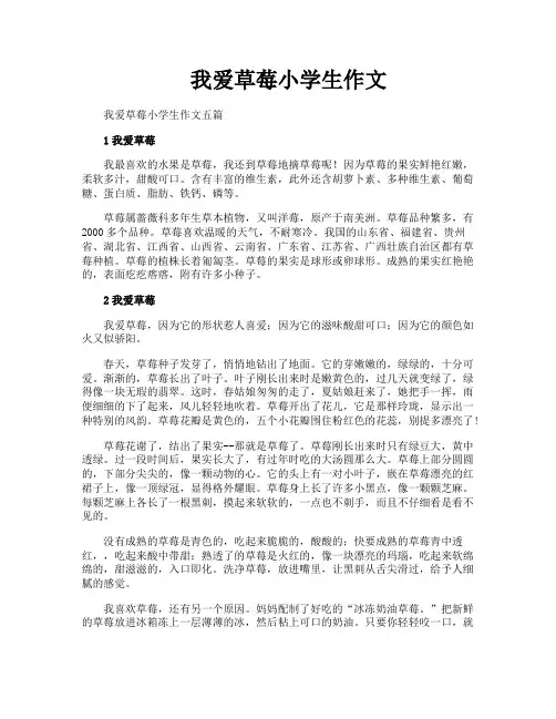 我爱草莓小学生作文