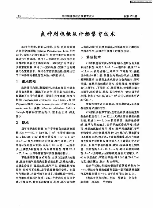 良种刺槐根段扦插繁育技术
