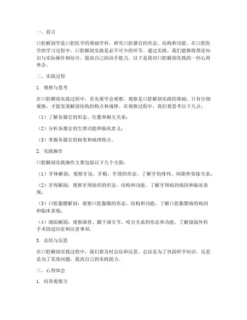 口腔解剖实践心得体会