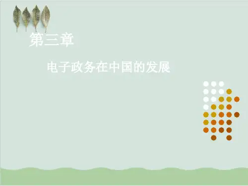 电子政务在中国的发展PPT课件(43页)