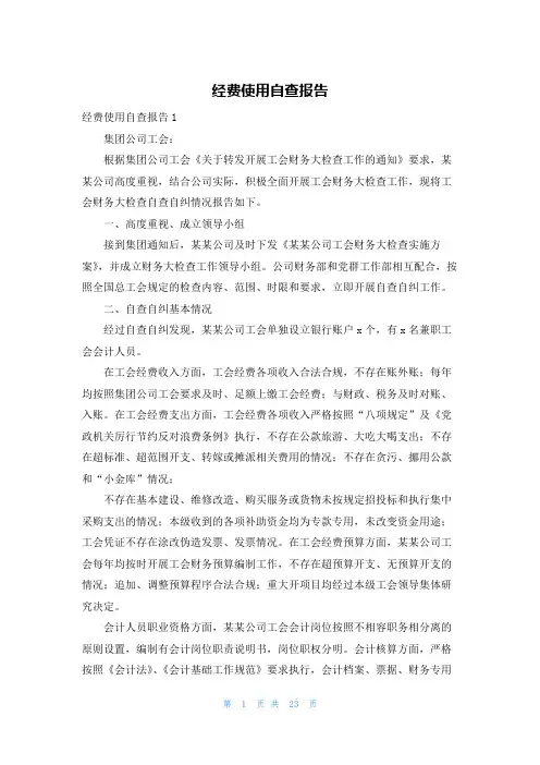 经费使用自查报告