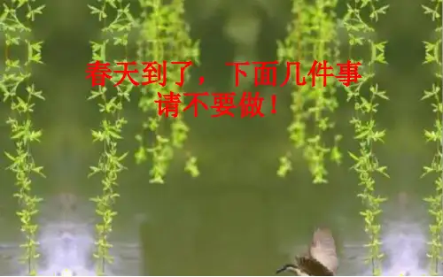 教科版小学科学 生物多样性的意义名师教学PPT课件