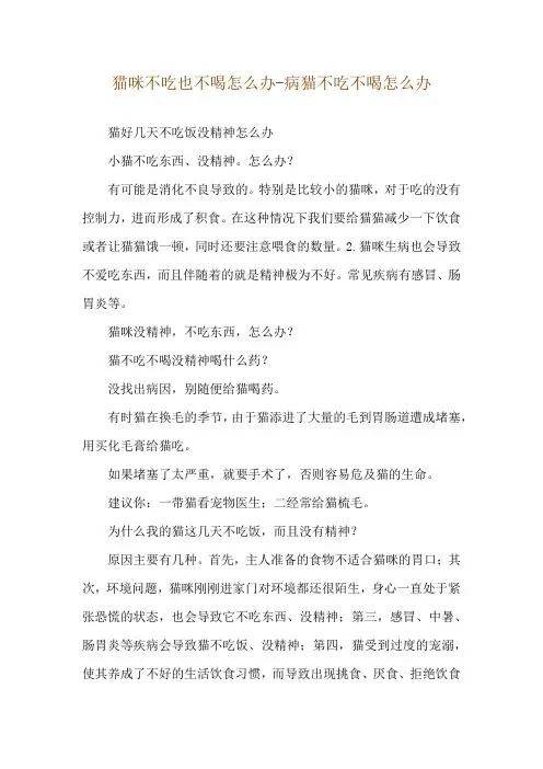 猫咪不吃也不喝怎么办-病猫不吃不喝怎么办