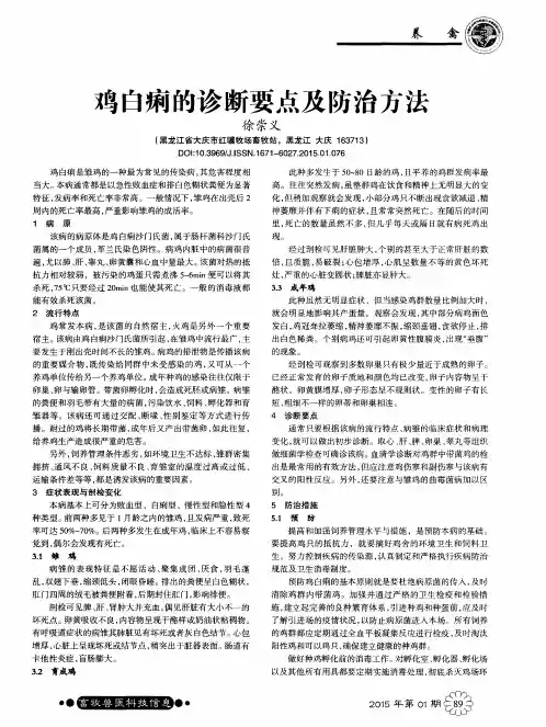鸡白痢的诊断要点及防治方法
