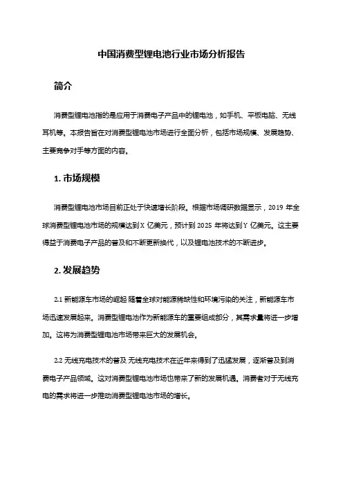 中国消费型锂电池行业市场分析报告