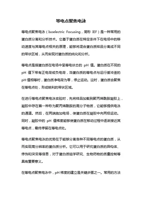 等电点聚焦电泳