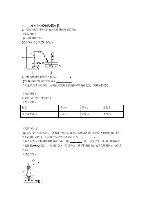 备战中考化学探究题-经典压轴题附答案