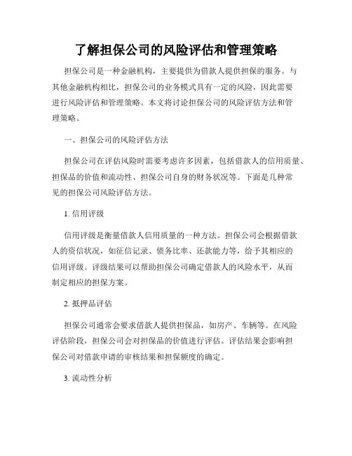 了解担保公司的风险评估和管理策略