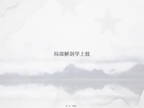 局部解剖学上肢讲课文档