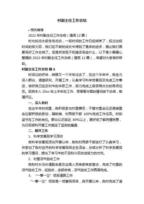村副主任工作总结