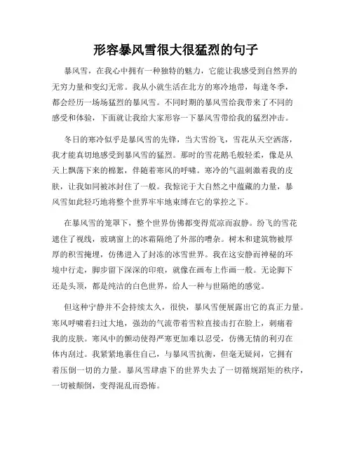 形容暴风雪很大很猛烈的句子