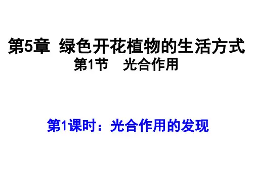 第 5 章 1 绿色开花植物的生活方式 复习课件