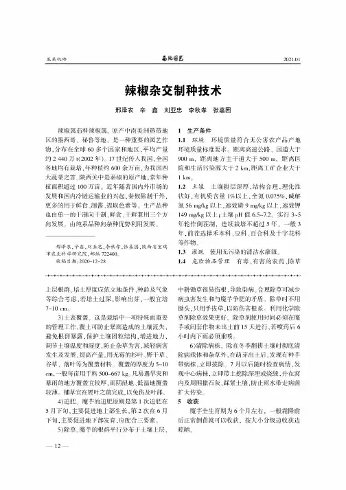 辣椒杂交制种技术