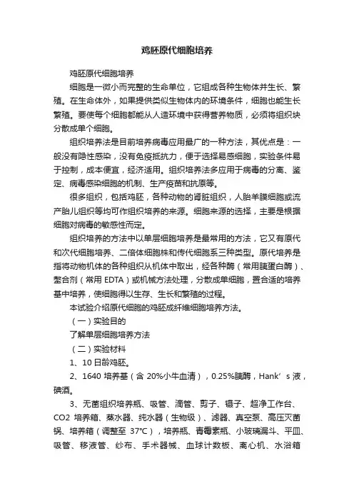 鸡胚原代细胞培养