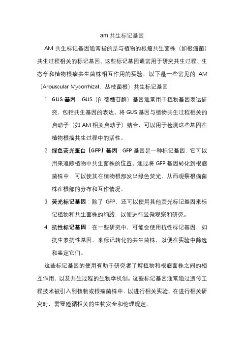 am共生标记基因