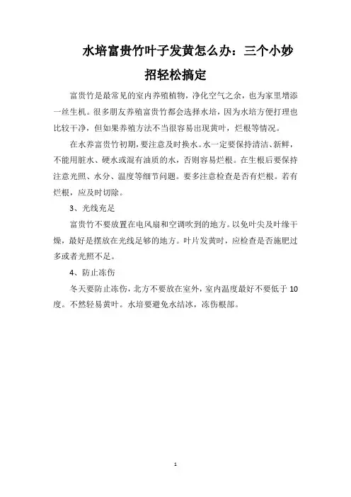 水培富贵竹叶子发黄怎么办：三个小妙招轻松搞定