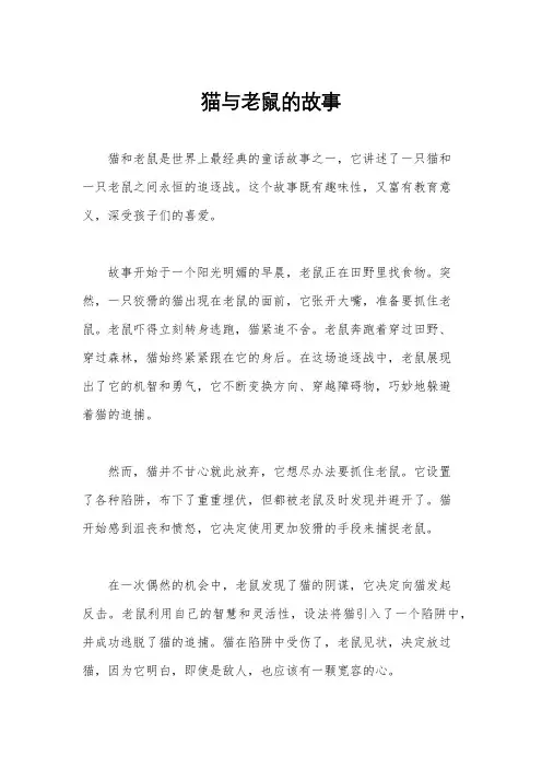 猫与老鼠的故事