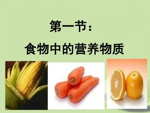 人体的营养PPT 人教版1